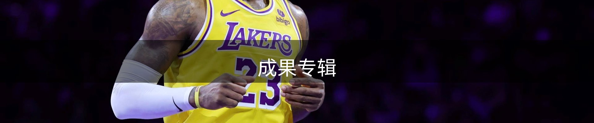 成果专辑